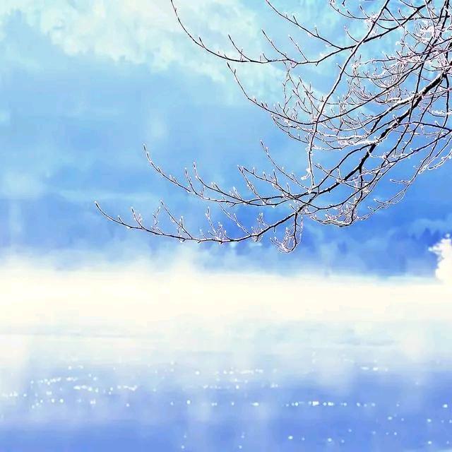 艾静心