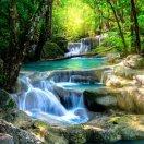 新市三义春苗幼儿园