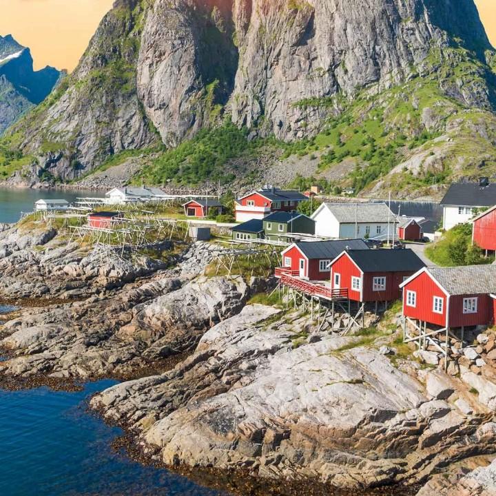 我是个小老鼠，看透不说透，过好每一天