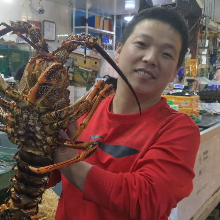 漂泊的人