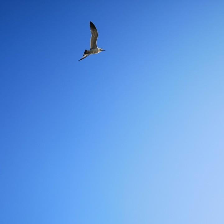 维多利亚的诱惑