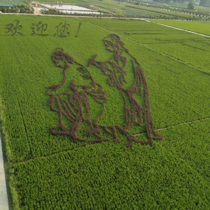 倾国倾城🍓