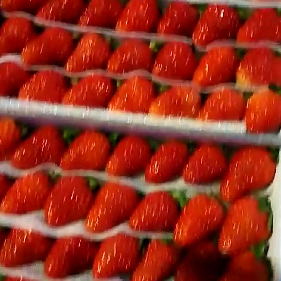 王仨水果
