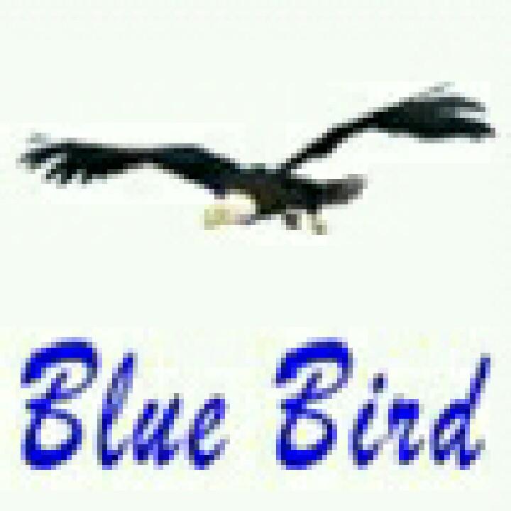 蓝鸟