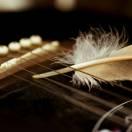 🌻午后暖茶🎁