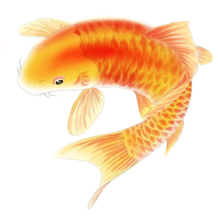 毛岗60米41米泵车出租