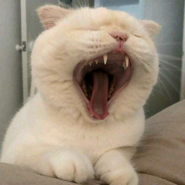 吃货弟弟