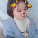 叶子(新号搭建中)