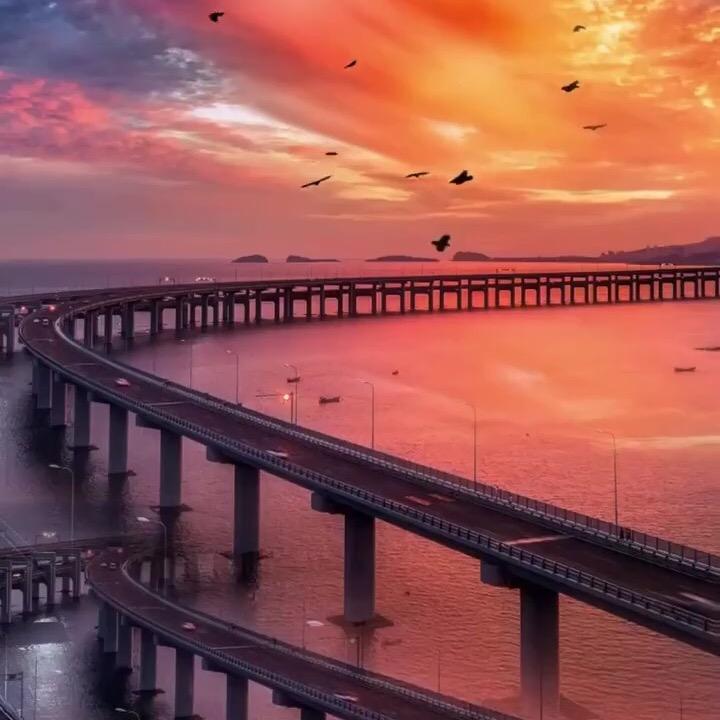 L.C