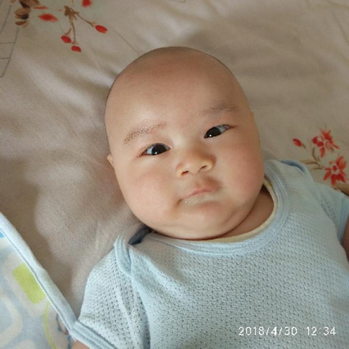 小马5588