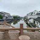 情不知所起一往而深