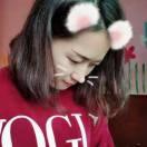 阳光下的向日葵🌻