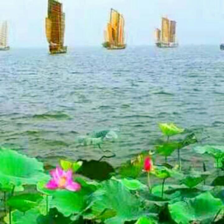 太湖缘