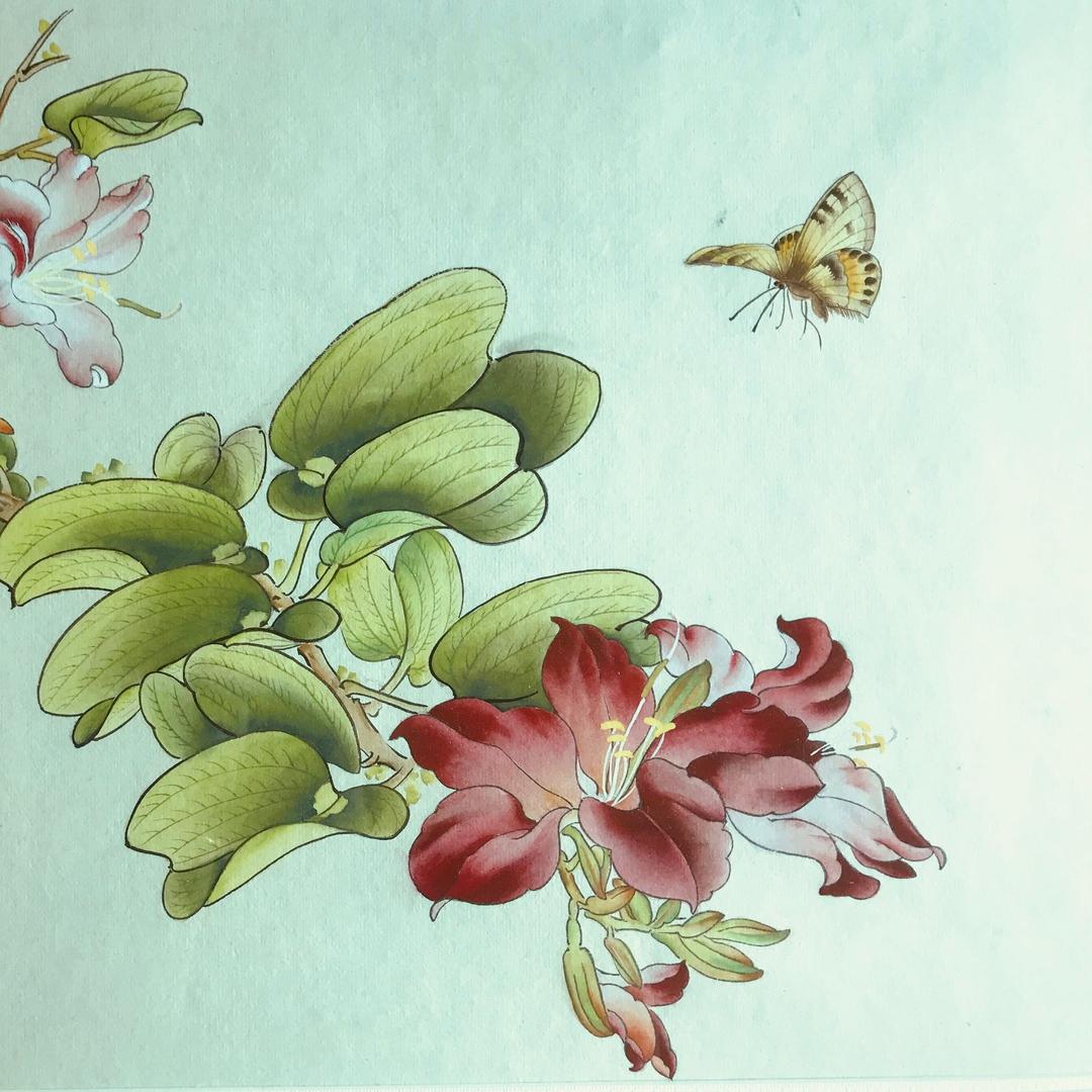 袁雪芬（幽蘭堂）