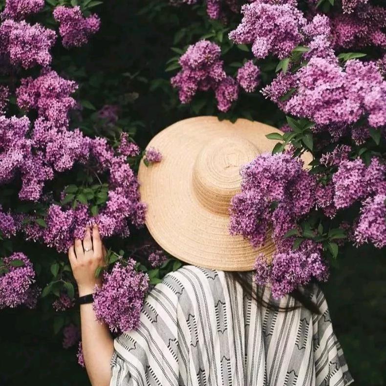 花样年华