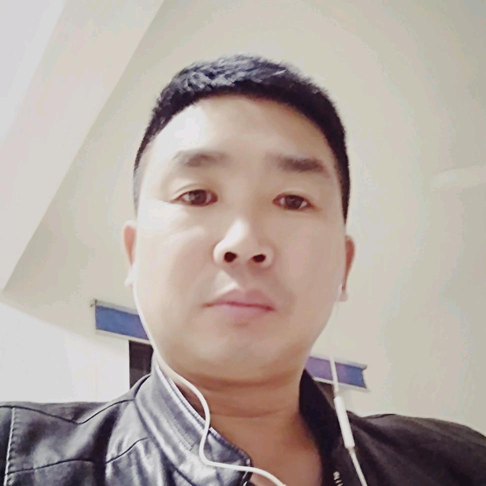 绿林造型景观树