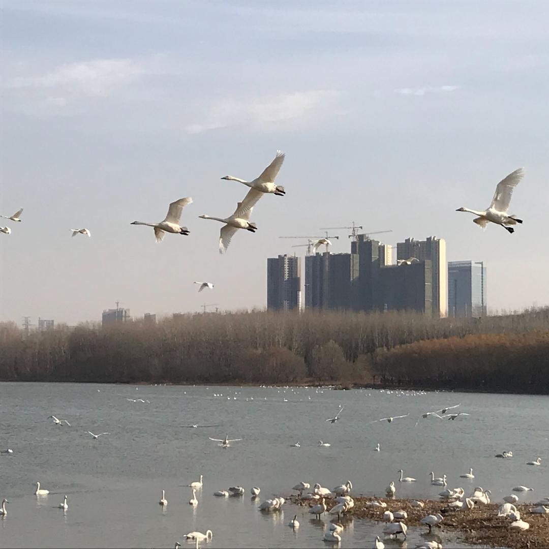 河南公共卫生间隔断设计加工安装厂家