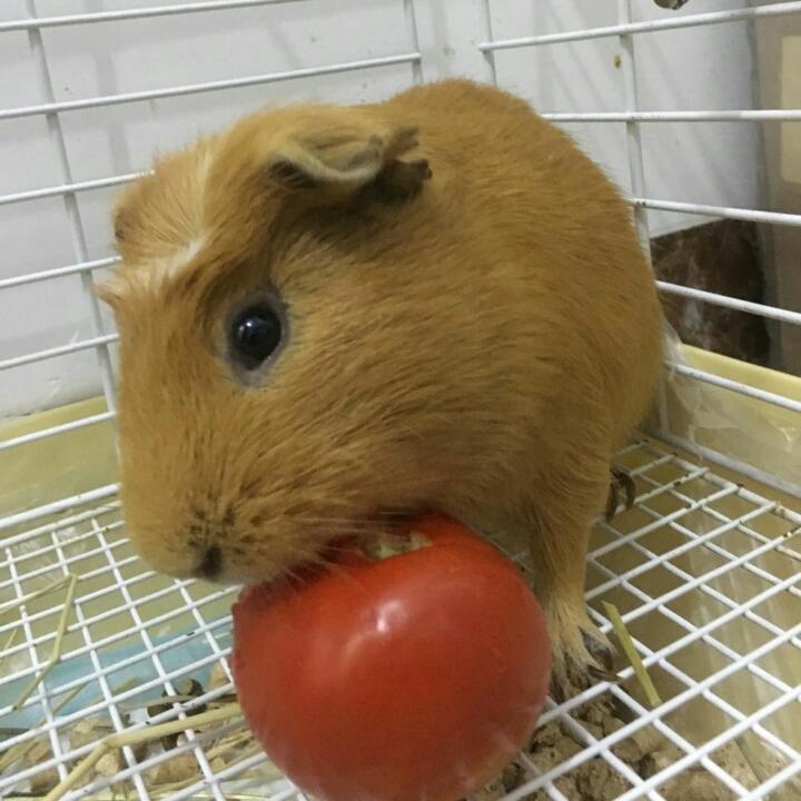 君少……啊姨