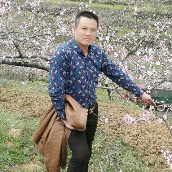 向往鹰的飞翔
