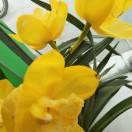 王开心永远快乐