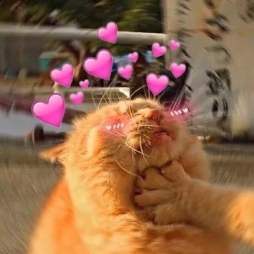 不会倒车的雪梨