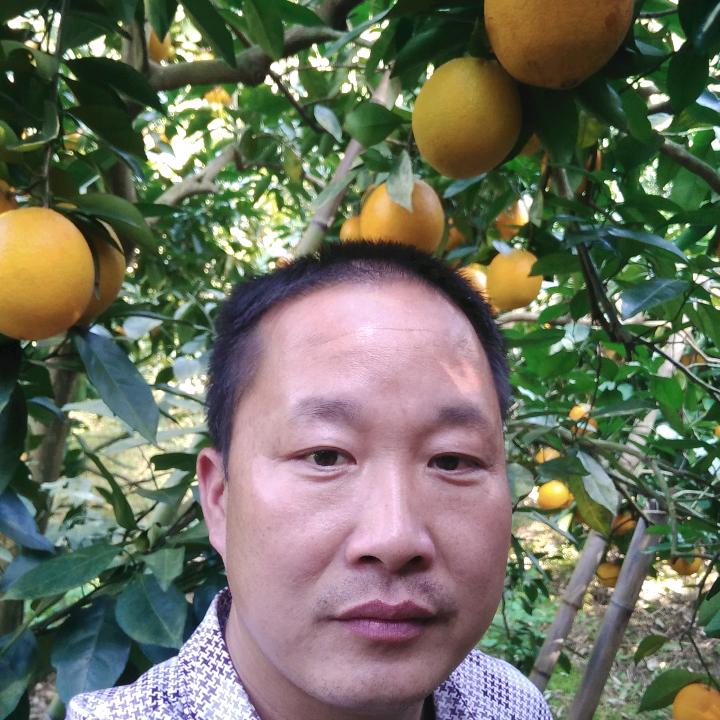 罗坳猪肉佬