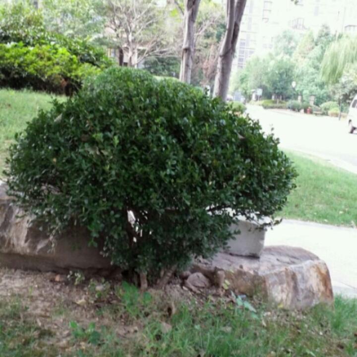 70后宝妈爱唱歌