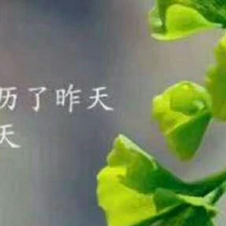 用平安是福户1784373191361