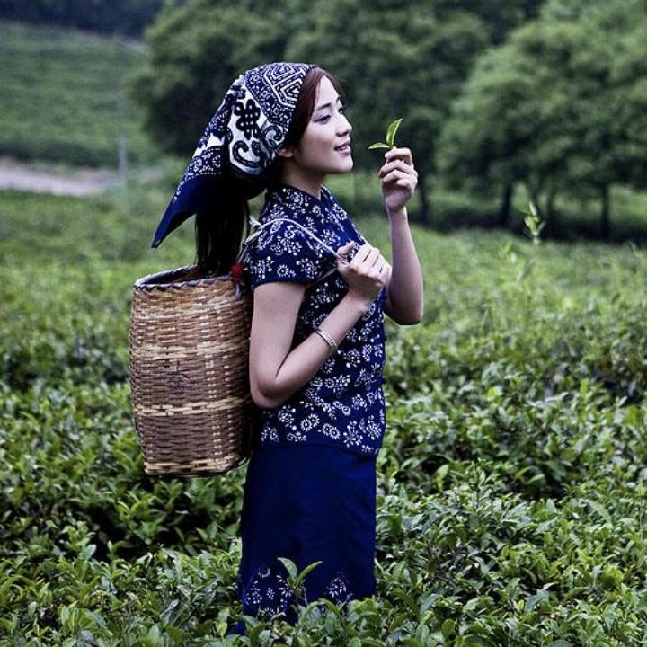 淘淘精选分享