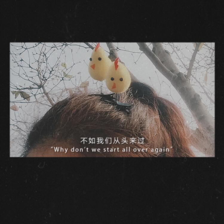 小乖不听话