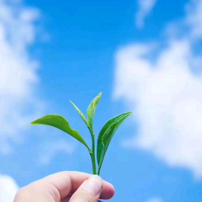 茶农（桃源上陶）