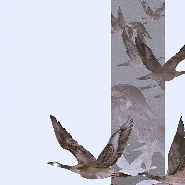 🌒🌓🌔🌖🌗🌘