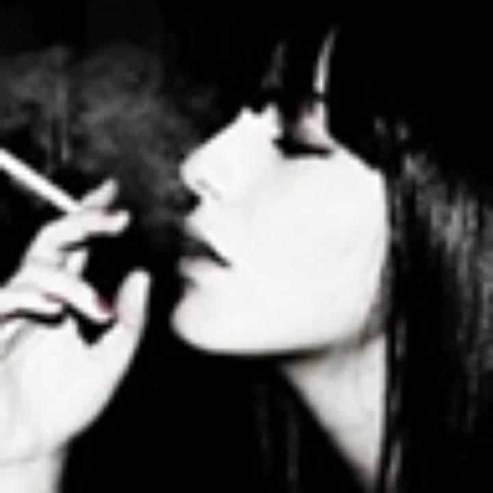 八戒不会飞