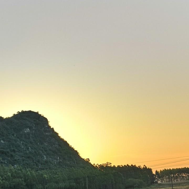 深情与微风