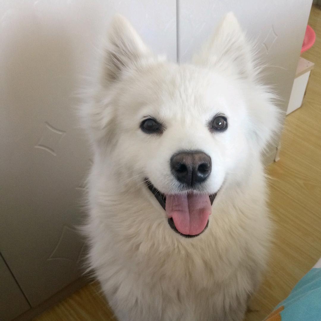 白云