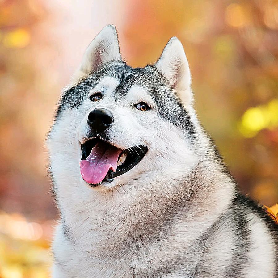 重温过后