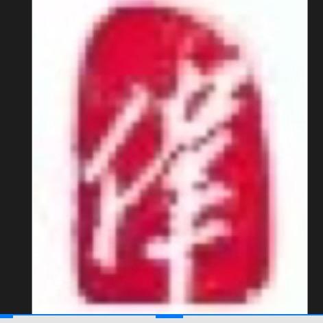 评@委