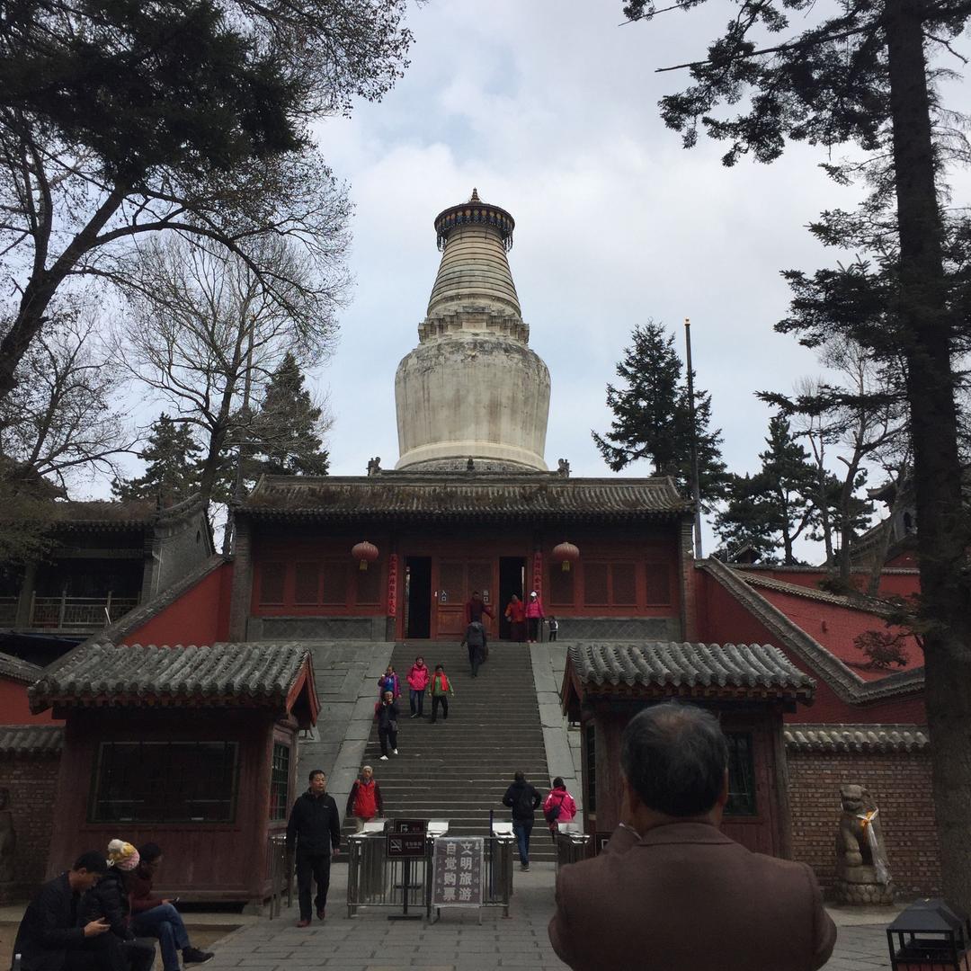 清水莲花