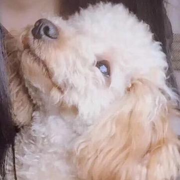 寰宇哥