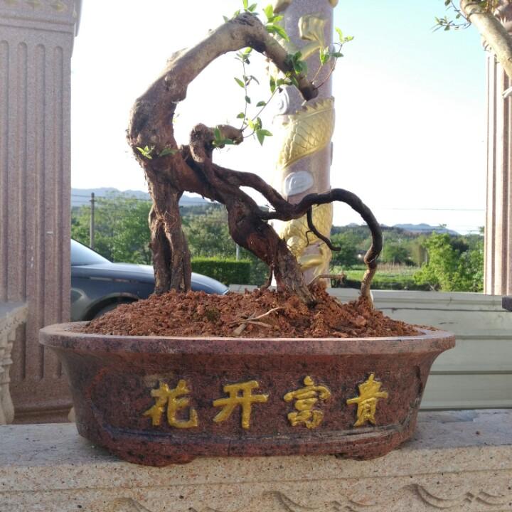 三明辉达花盆模具厂