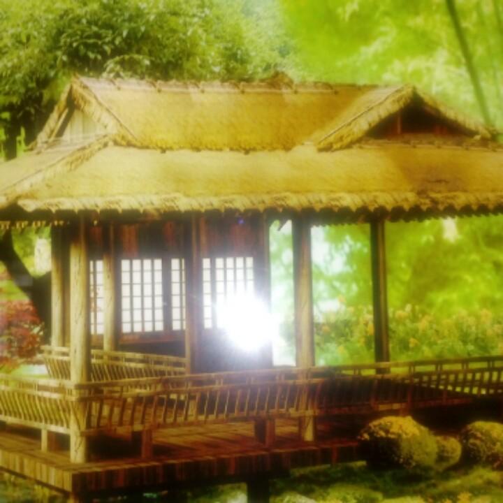 廖廖