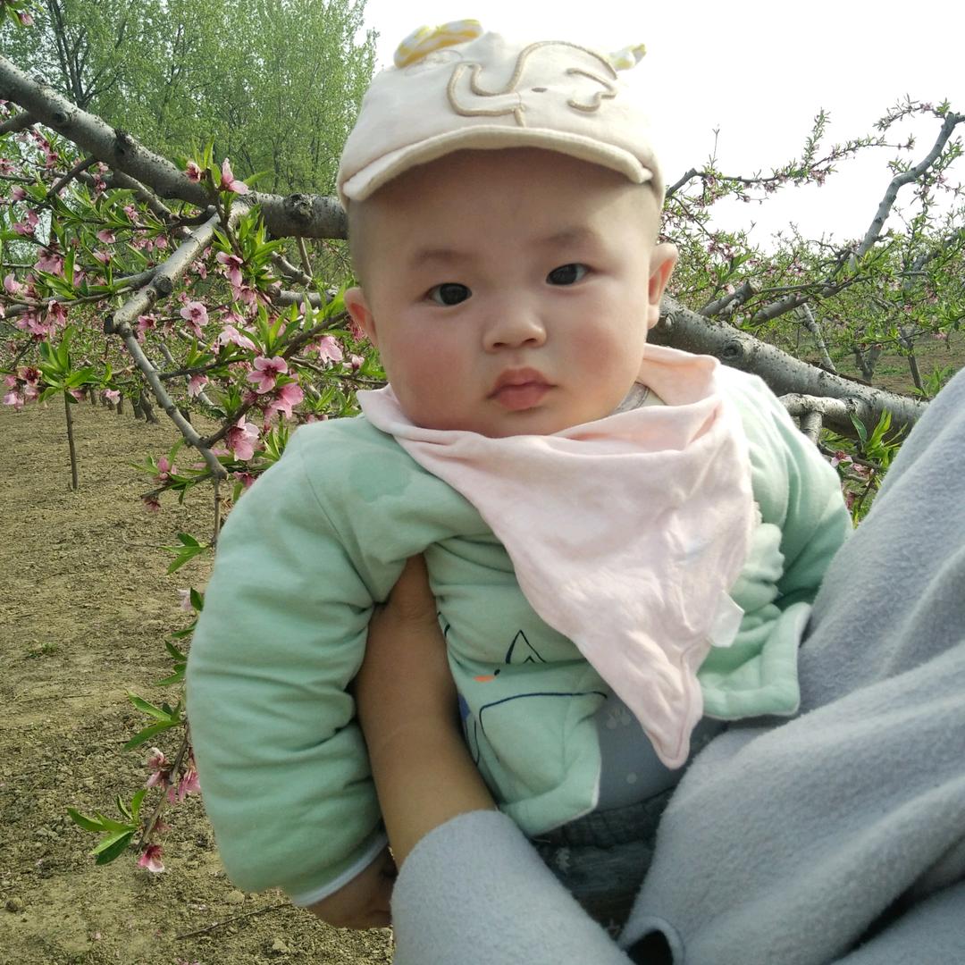 青春年华