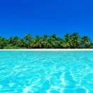 开心每一天（手机摄影）