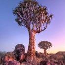 *^O^*乘风破浪*^O^*