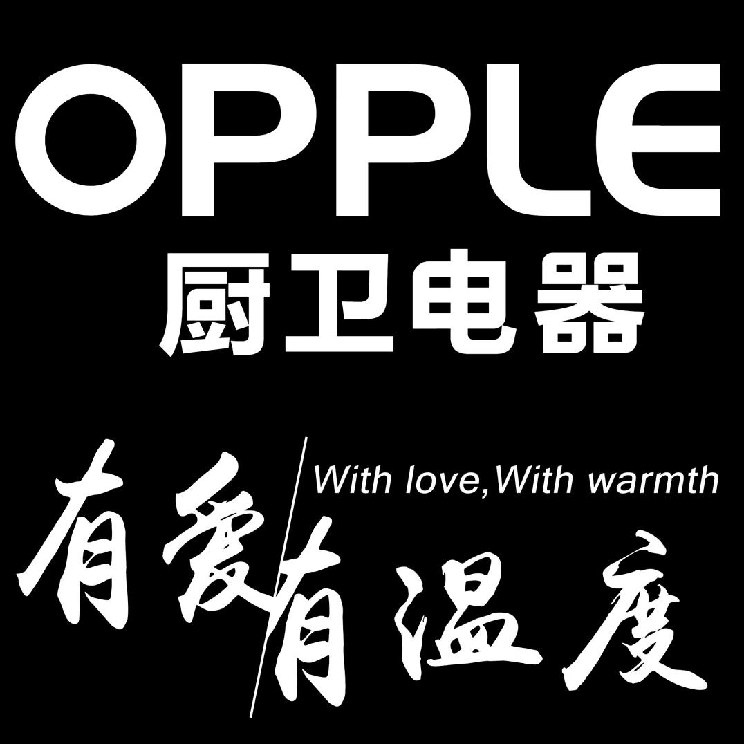 欧普照明集吊开关总汇（永嘉县店）