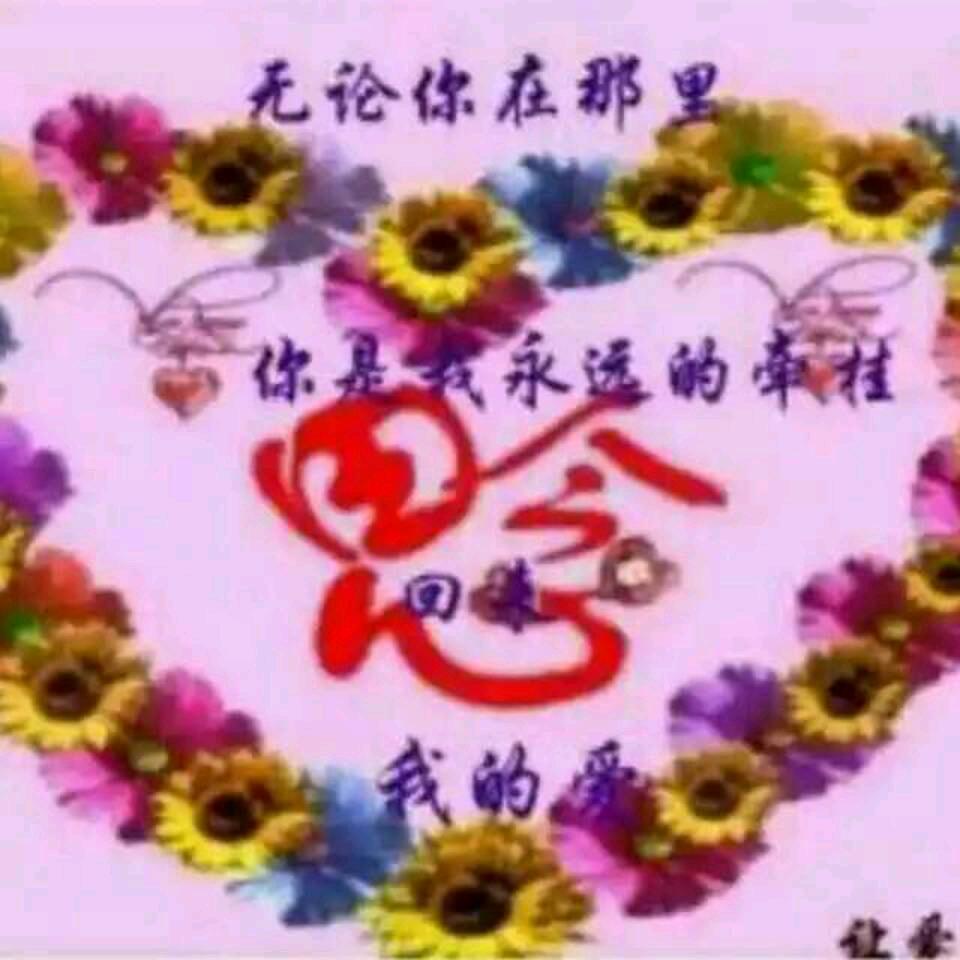 阳光