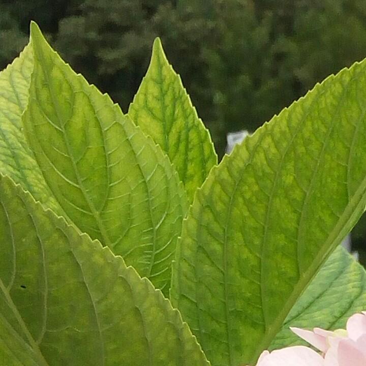 领悟