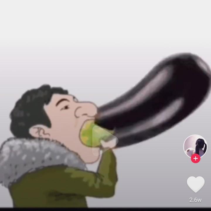 会飞的鸟