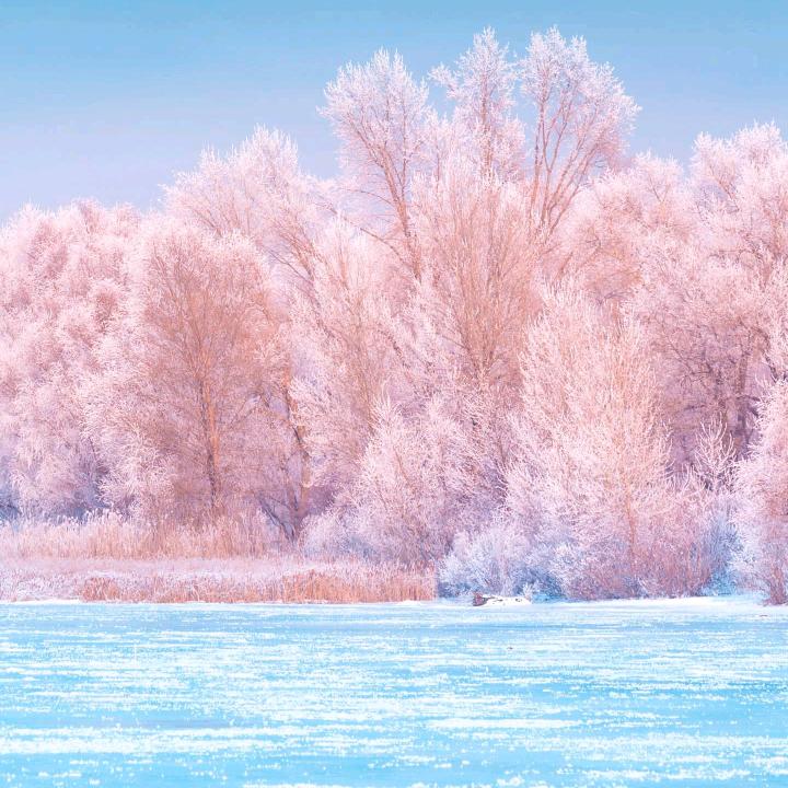 澳门🇲🇴小旭