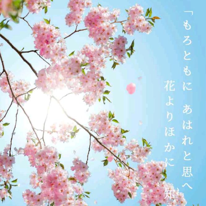 快乐哥